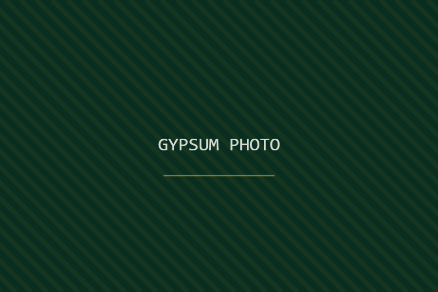Gypsum boards